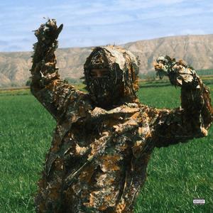 no sé querer a medias