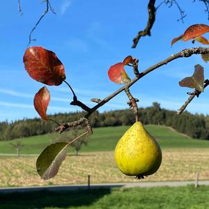 A very cool Sunday chill (feat. Navroz)
