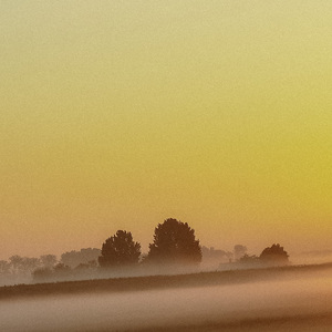 Water Sounds At The Sea Shell Beach