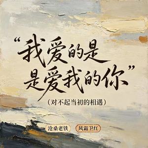 我爱的是爱我的你 (对不起当初的相遇)