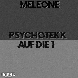 PSYCHOTEKK AUF DIE 1