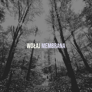 Wołaj