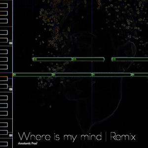 Where is my mind [Cover] (Instrumental) (Instrumental)