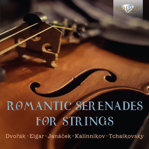 Serenade for String Orchestra, Op. 20: III. Allegretto