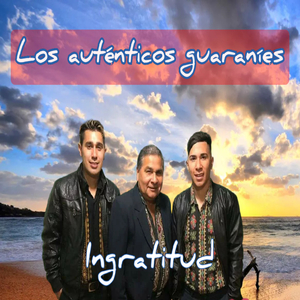 Otritema ne añua