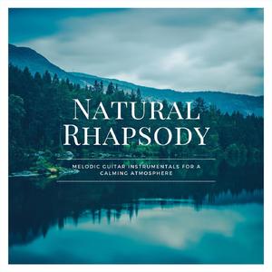 Radioactive (Arr. for Guitar)