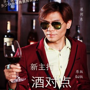 酒对点 (DJ 版|Remix)