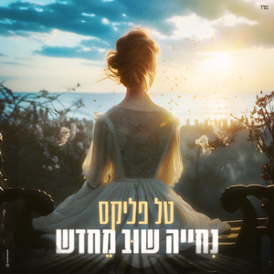 נחייה שוב מחדש