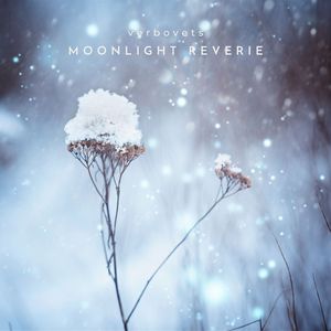 Moonlight Reverie