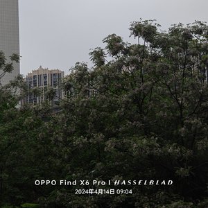 快抽一只名为戒烟的烟