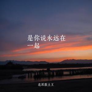 是你说永远在一起（男版）