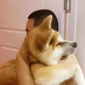 爱的回归线（钢琴版）陈韵若