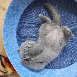 祝你一路顺风翻唱