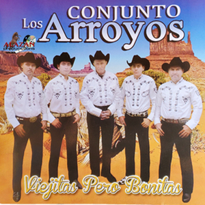 Ingratos Ojos Mios