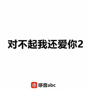 对不起我还爱你2