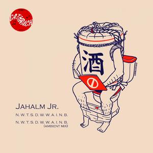 N. W. T. S. D. W. W. A. I. N. B.  (ambient mix) (Ambient Mix)