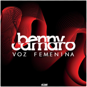 Voz Femenina (Original Mix)