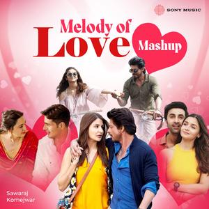 Melody Of Love Mashup
