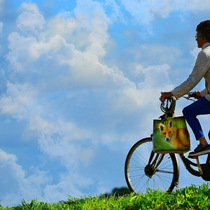 나 혼자 떠난 여행