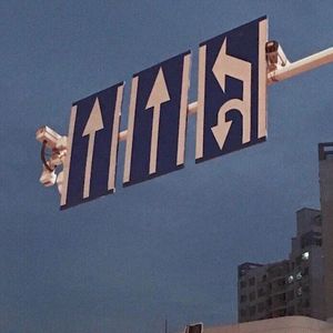 落叶等风响 我等心无恙