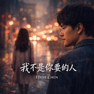 我不是你要的人