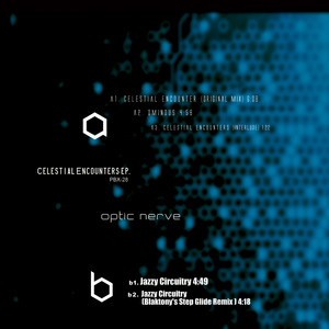 Jazzy Circuitry (Blaktony's Step Glide Remix)