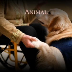 Fiesta (Original Mix-Radio Edit)