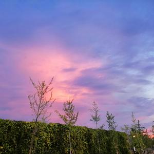 未来的样子（Pord.GodSun）