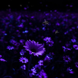 Stay Close Feel Love