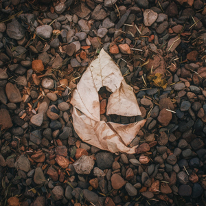 허락되지 않은 사랑