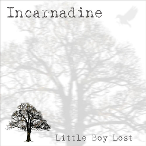 Little Boy Lost