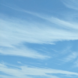 この想いは嘘じゃない