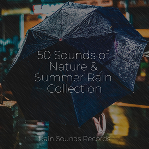 The Murky Melody of Croak Creek