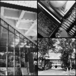 百年芳华（献礼建党100周年）