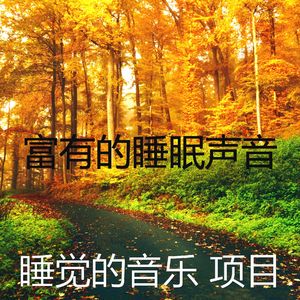 抚慰的休息中回忆