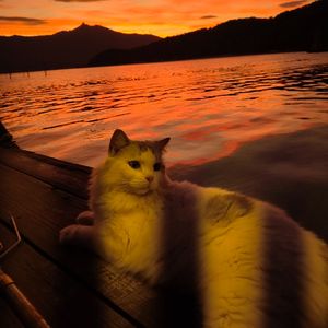 一念(武侠片怀旧版)