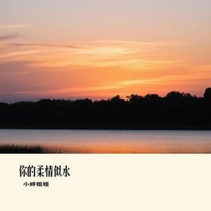 你的柔情似水 (Cover 杨友友)