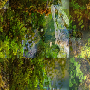Photofinishing