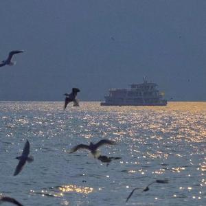 终身美丽（cover Sammi）