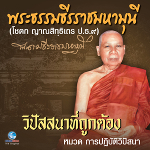 การปฎิบัติวิปัสสนา เรื่อง วิปัสสนาที่ถูกต้อง