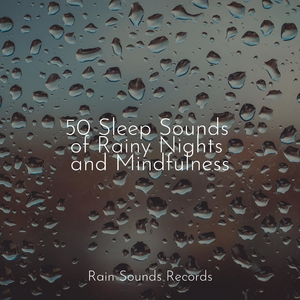 Echoes of Tides Past