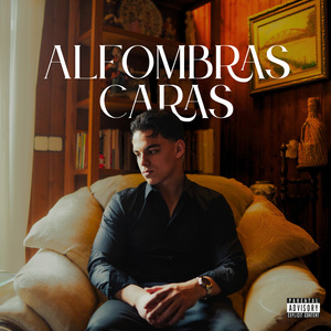 ALFOMBRAS CARAS