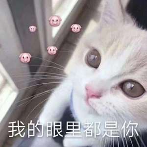 哪里都是你吉他版
