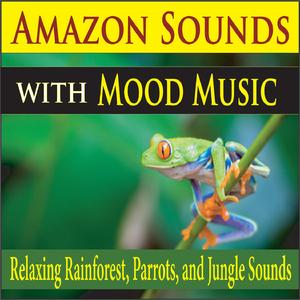 Rainforest Sounds (with Relaxing Piano)