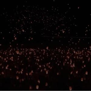 你会不会跟我走