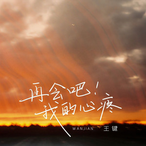再会吧！我的心疼