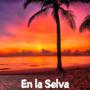 Amanecer en la Selva