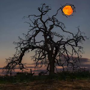 藏在心底的秘密