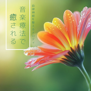 音楽療法のハーモニーで整う夜