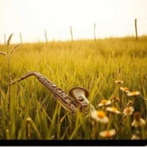 Blumenwiese, Du und Ich